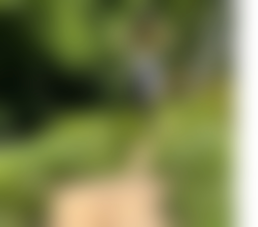 Escorts Tyne and Wear Sunderland - Photos for Escorting & massage